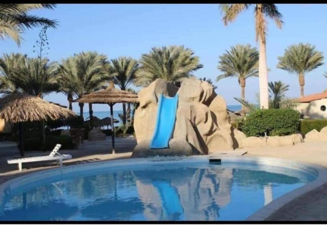 Palma 3*